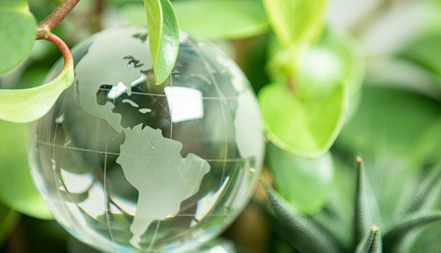 Global upturn in ESG investing - Adviser survey results