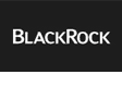 BlackRock - 2025 Global Investment Outlook; Building the transformation