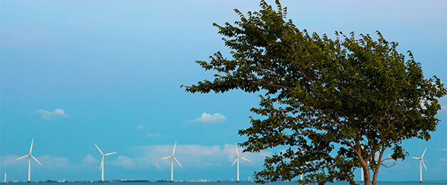 Finding global environmental investing opportunities